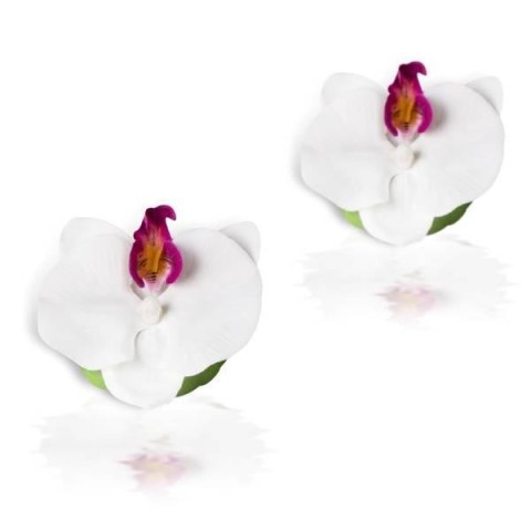 BOX 6 PHALEANOPSIS GALLEGGIANTI LILLA